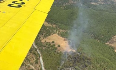 Muğla'da orman yangını: Ekipler müdahale ediyor!