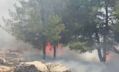 Adıyaman’daki orman yangını söndürüldü