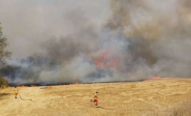 Son Dakika: Balıkesir ve Hatay'da orman yangını çıktı!