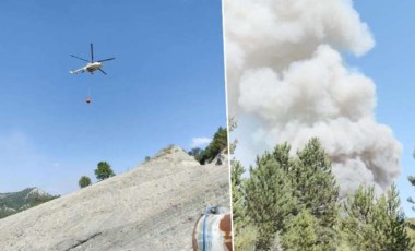 Son dakika... Bilecik’te ormanlık alanda çıkan yangın kontrol altına alındı