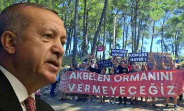 Son dakika... Erdoğan, ‘Akbelen’deki direnişi hedef aldı: Çevreci görünümlü marjinallere aldırmıyor, işimize bakıyoruz