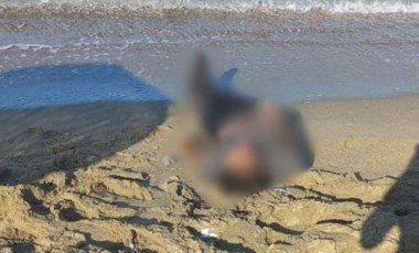 Kuşadası’nda deniz kıyısına vurmuş erkek cesedi bulundu