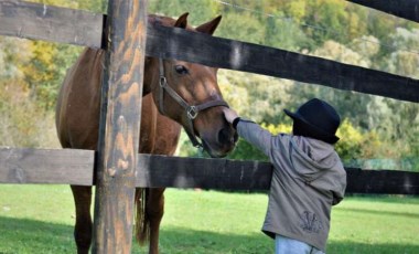 At binmek özel ihtiyaçlı çocuklara iyi geliyor: Hippoterapi nedir?