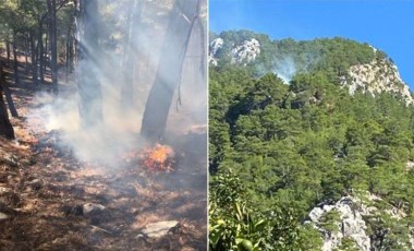 Muğla'da çıkan orman yangını kontrol altına alındı