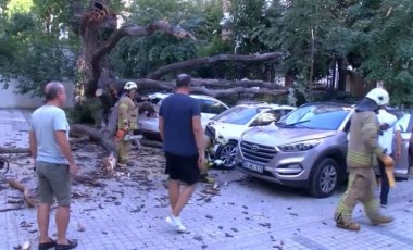 Kadıköy’de aracın üstüne devrilen ağaç 51 daireyi icralık etti