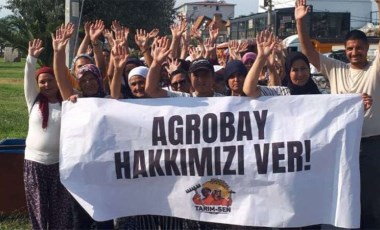 Agrobay işçisi kadınlar seslendi: Nerede kadın kolları...