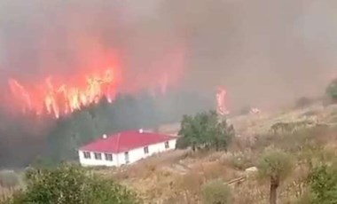 Bolu'da orman yangını!