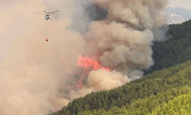 Son Dakika: Antalya'da orman yangını!