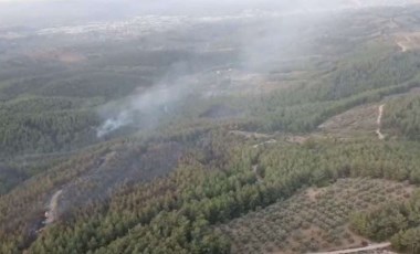 İzmir Buca'daki orman yangını kontrol altına alındı