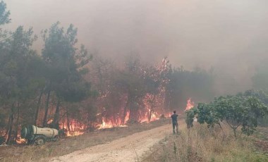 Bursa'da orman yangını kontrol altında