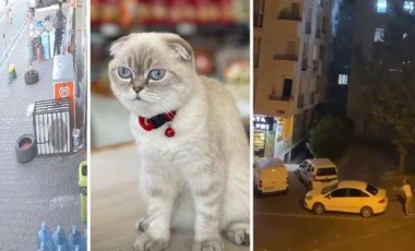 Esenyurt'ta silahlı 'kedi' kavgası: Yoldan geçen kurye vuruldu