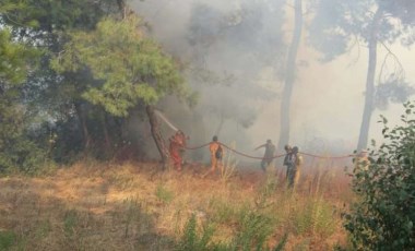 Menderes yangınında üç can ve 260 hektar orman yok oldu