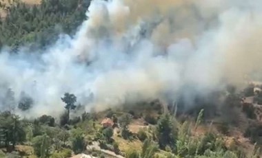 Antalya Kaş'ta orman yangını