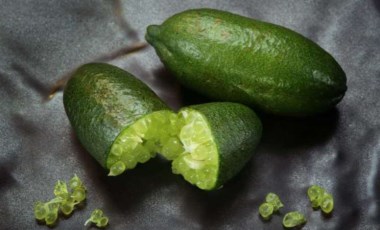 Finger lime (havyar limonu) nedir? Nasıl kullanılır?