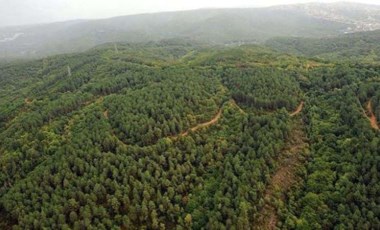 Koza Altın'dan iki katliam başvurusu daha