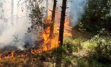 Son Dakika: Sultangazi'de orman yangını kontrol altına alındı