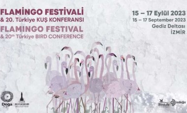 Türkiye’nin ilk Flamingo Festivali İzmir’de