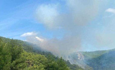 Çanakkale’de çıkan orman yangını kontrol altına alındı