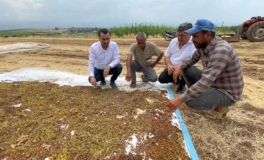 CHP’li Başevirgen’den TMO’ya: Kuru üzüm alım fiyatını açıkla!