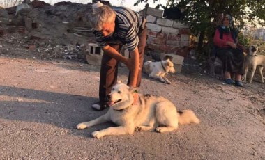 Ankara'da kan donduran olay! Sokak köpeklerini beslerken başından vuruldu