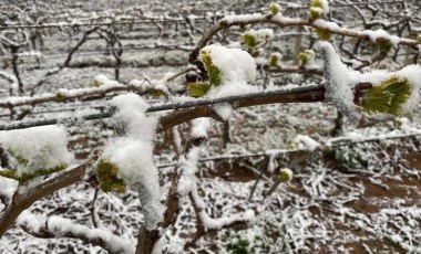 Meteoroloji'den İzmir ve ilçeleri için 'zirai don' uyarısı