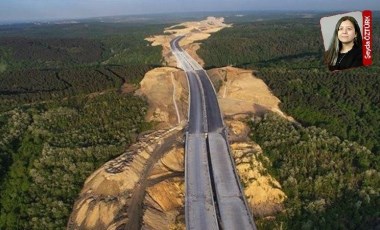 Çevre talanı tam gaz: 120 kilometre planlanan Gebze-Çatalca demiryolu Kuzey Ormanları'ndan geçecek