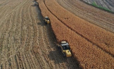 Tarım üretici enflasyonu bir yılda yüzde 72 arttı