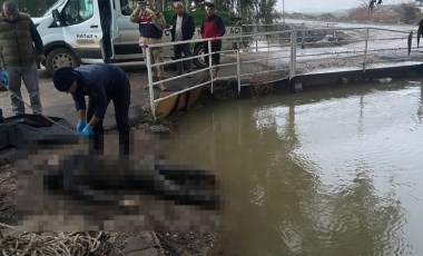 Hatay'da sulama kanalında erkek cesedi bulundu