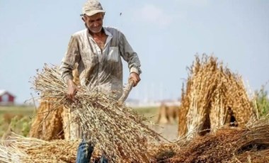 Tarımsal destek ödemesi yattı mı? Tarımsal destek ödemesi ne zaman yatacak? Tarımsal destek ödemesi nereden sorgulanır? (22 Ocak 2024)