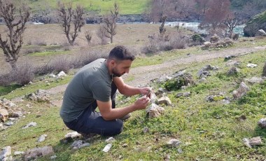 Hakkari'de görenler şaşkına uğradı: Baharın müjdecisiydi ocak ayında çiçek açtı