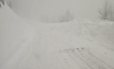 Ardahan-Artvin karayoluna çığ düştü