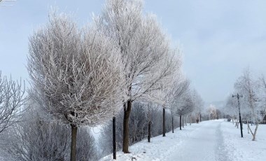 Sibirya soğuklarının etkisindeki Ardahan'da ağaçlar kırağı tuttu