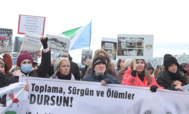 Üsküdar'da sokak hayvanları için eylem: 'Sesleri ve oyları olmaya geldik'