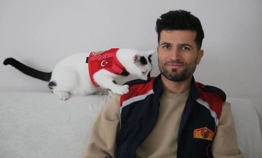 Yıkıntıların arasından hayata tutunmuştu: Kedi 'Enkaz' büyüdü