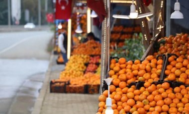 Derepazarı'nda hasat bitti: Kilosu 15 TL...