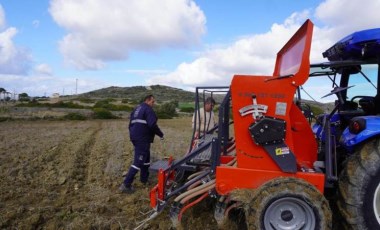 Ata tohumu Çeşme’de karakılçık buğdayla hayat buluyor