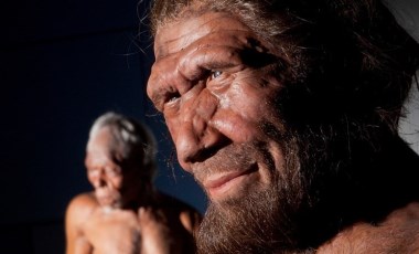 Neandertal DNA'sı taşıyor olabileceğinizin 6 işareti