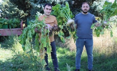 Tarlasının önünden bile geçmek yetiyor! Lokman Hekim 'yılda en az 1 kere tüketin' diyor