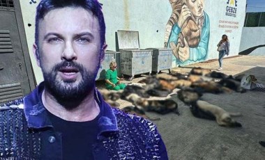 Tarkan'dan Gebze'de yaşanan hayvan katliamına tepki