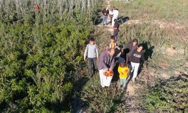 Markette sebzeleri pahalı bulan yurttaş soluğu tarlalarda aldı: 'Çarşıyla arasında aşırı derecede fiyat farkı var'