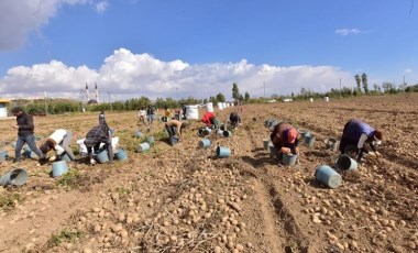 Türkiye’nin patates ambarlarında hasat başladı: 56 bin dekar alandan 300 bin ton ürün bekleniyor