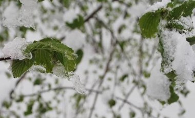 Meteorolojiden zirai don uyarısı