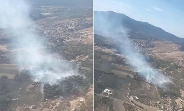 İzmir'de orman yangını