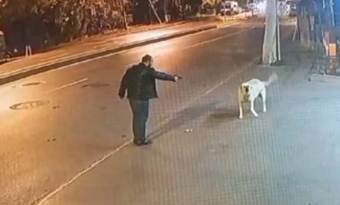 Üzerinde ruhsatsız tabanca da bulundu: Köpeğe silah doğrultan şahıs serbest bırakıldı