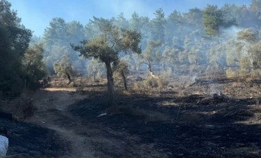 Muğla'daki orman yangını kontrol altına alındı