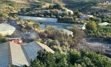 Alanya’da avokado bahçesinde yangın: 60 ağaç kül oldu