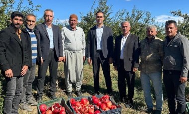 Samsat'ta hasat başladı: 15 bin ton rekolte bekleniyor...