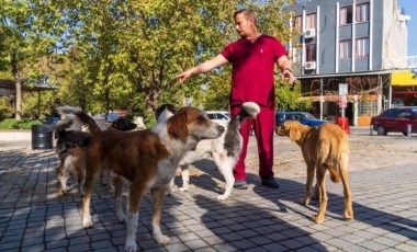 İzmir’de sahipsiz köpeklerin sayımı başladı