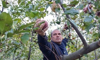 Adana'da zirveye kar yağdı, hasat öne çekildi!