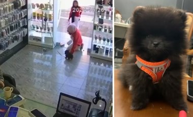 Mersin'de iki kızın severken öldürdüğü köpeğe 'otopsi' yapılacak